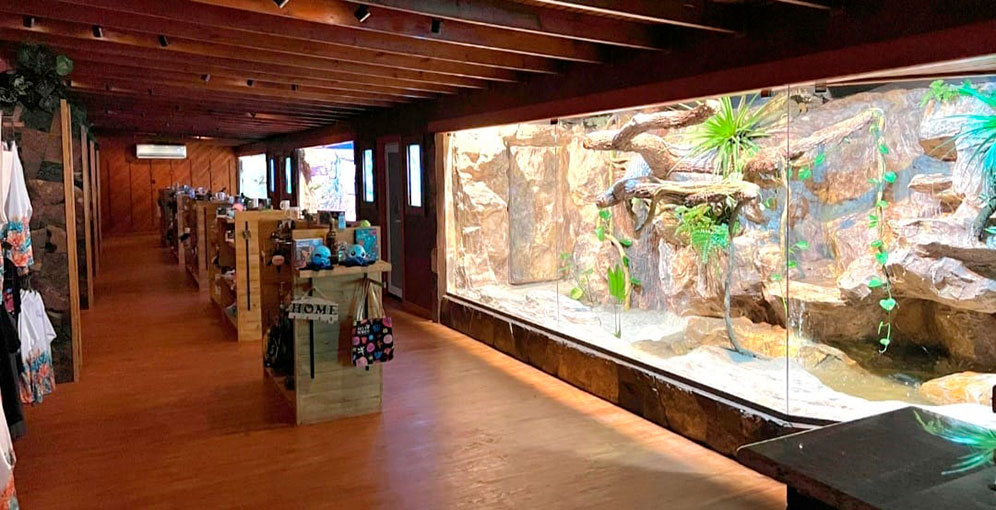 ACUARIO-MARINO-TELA-6