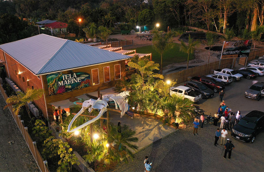 acuario-tela-3