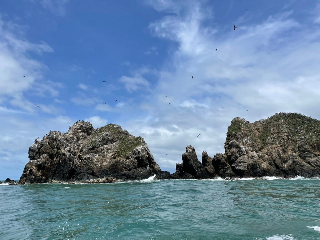 farallones-en-punta-sal