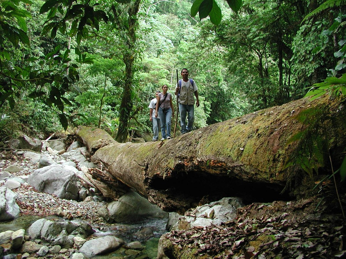 garifuna-day-tours (1)
