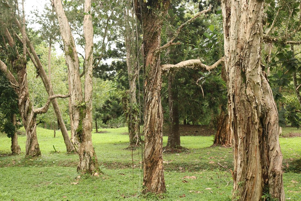 grounds