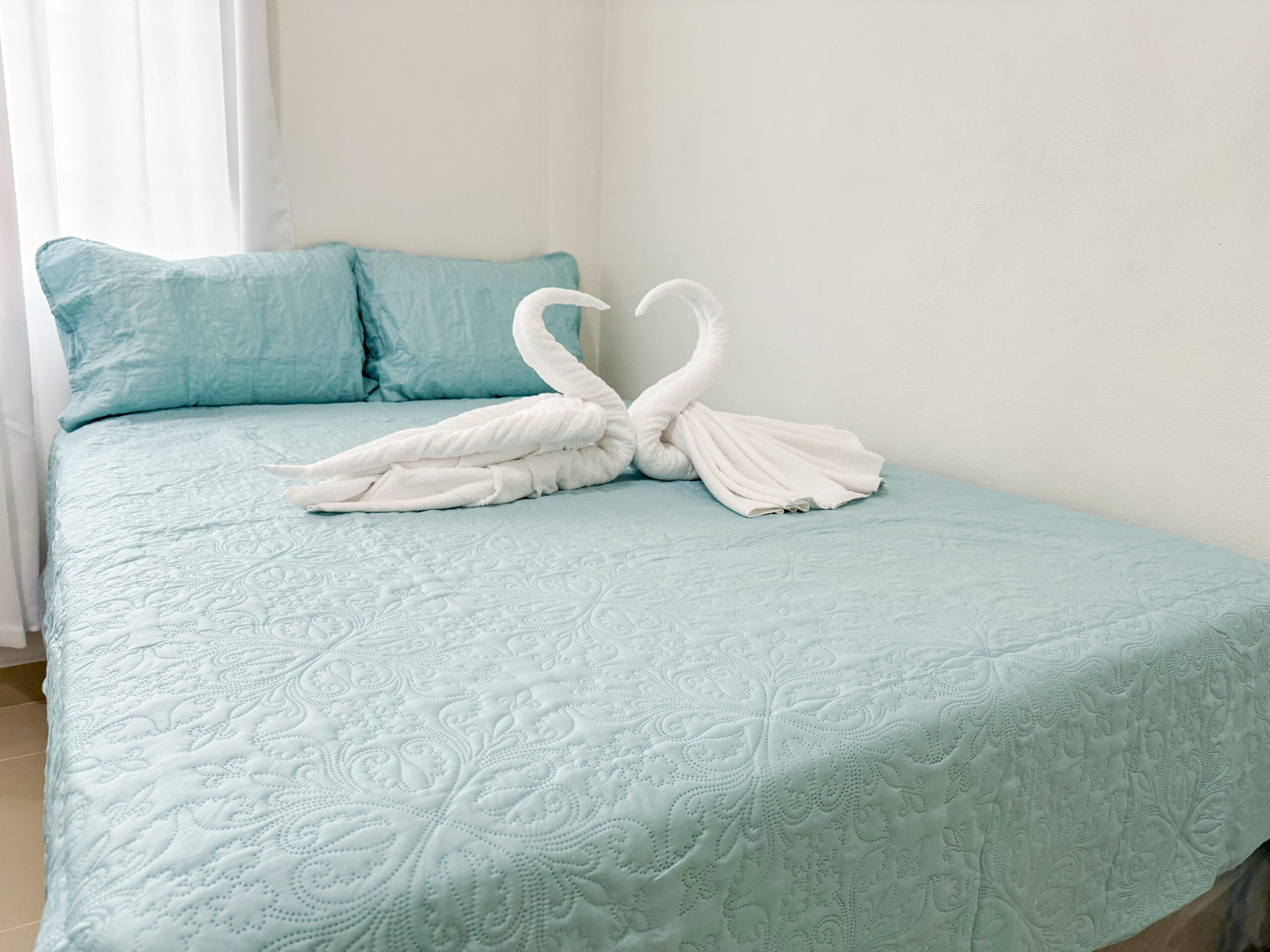 image00009